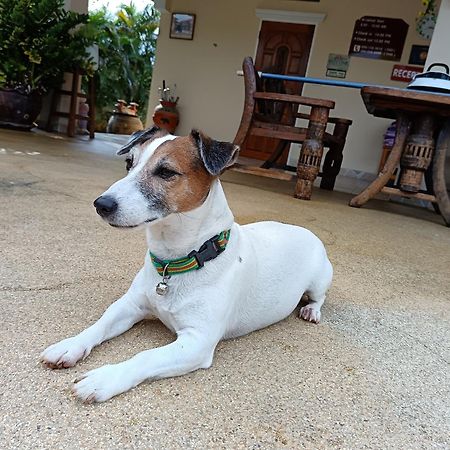 Stella Resort Sam Roi Yot Zewnętrze zdjęcie